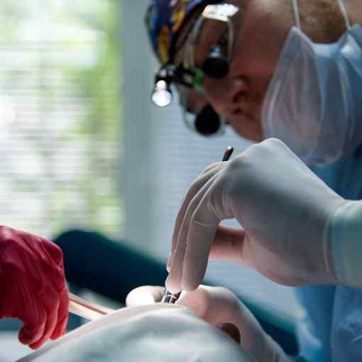 The Surgery